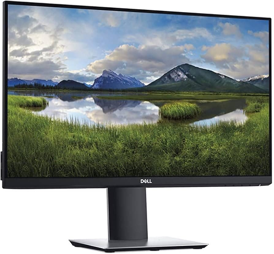 DELL P2419H Monitor